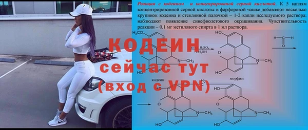 гашик Балахна