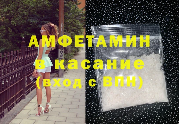сатива Аркадак