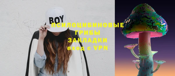 твердый Белокуриха
