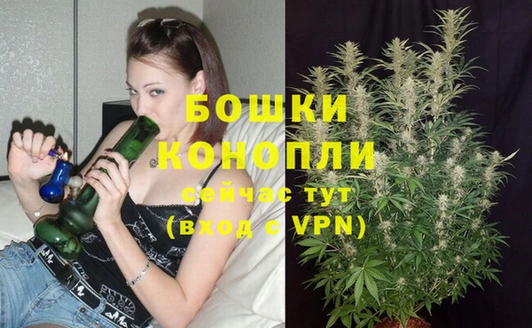 твердый Белокуриха