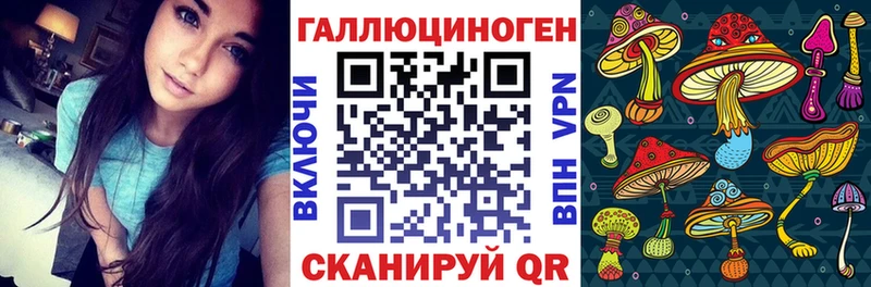 Псилоцибиновые грибы Magic Shrooms  Кингисепп 